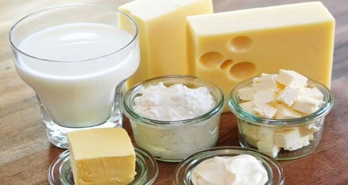 south-africa-dairy-product-market