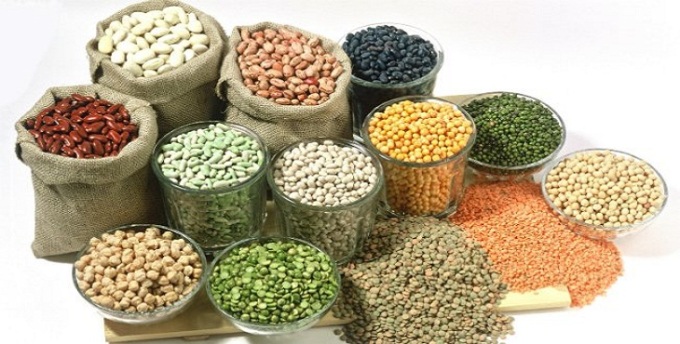 india-seed-coating-market