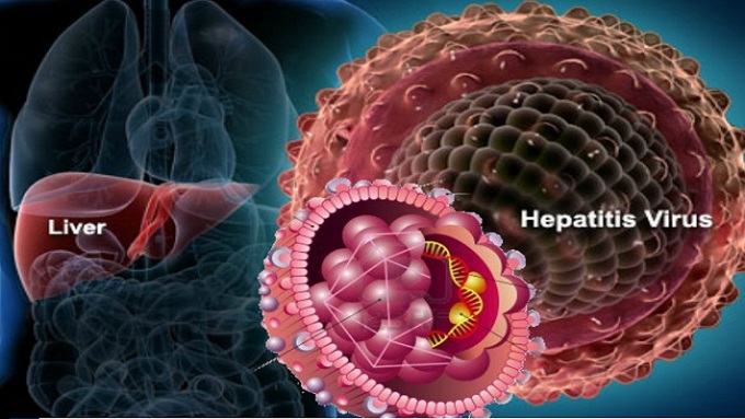Hepatitis C Virus Therapeutics Market Research