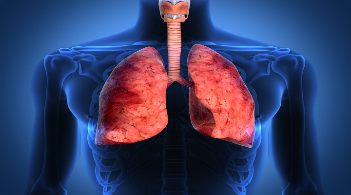 Lung Transplant Rejection Global Research Report : Ken Research