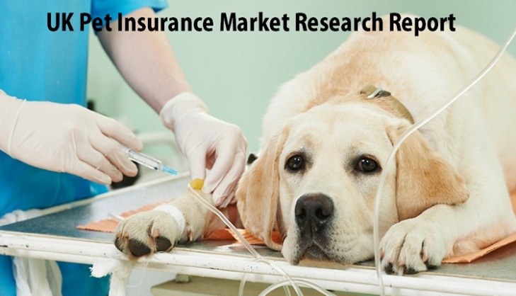 UK Pet Insurance Market Outlook