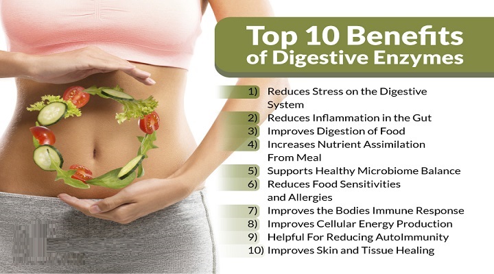 Growing Dynamics Of The Global Digestive Enzyme Market Outlook: Ken Research