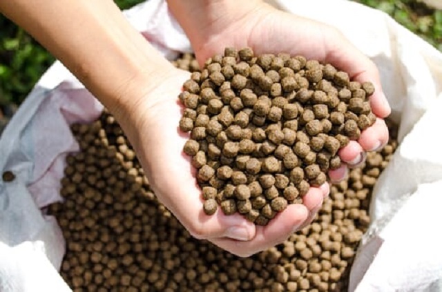 Europe Aquafeed Market Research Report: Ken Research