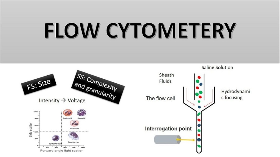 Global Flow Cytometry Market Is Predicted to Augment Owing to High Government Funding: Ken Research