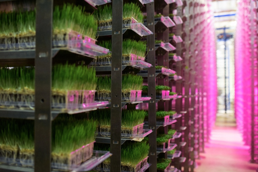 Future Growth of Global Indoor Farming Market: Ken Research